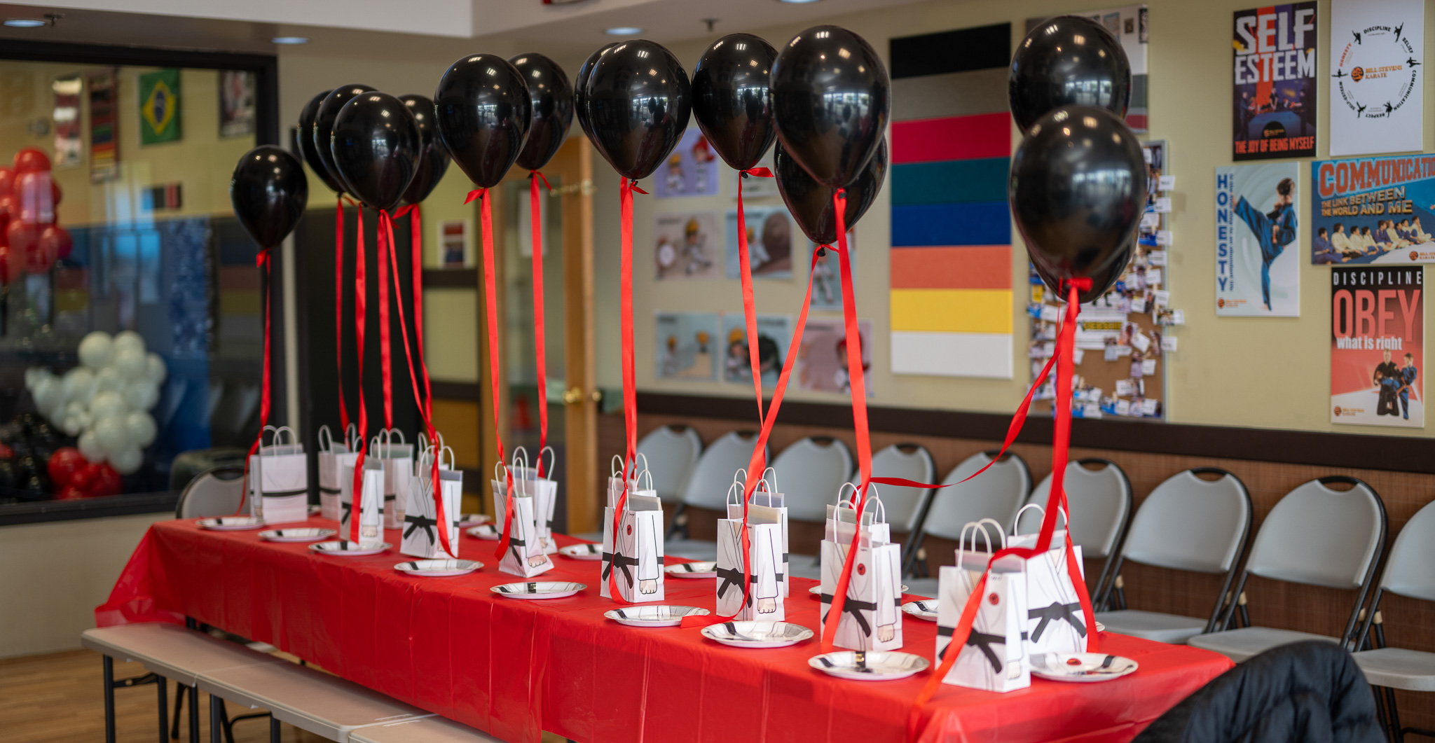 karate themed birthday party upper saddle river nj